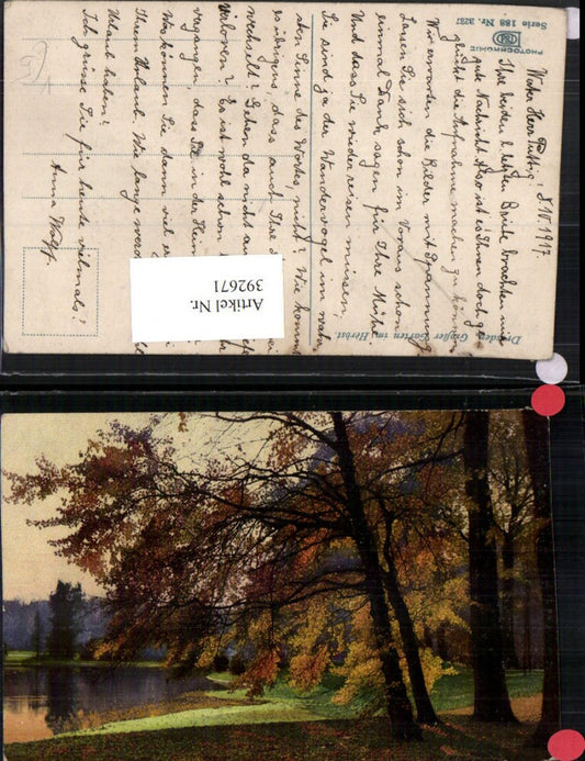 392671,Dresden Großer Garten im Herbst Partie pub Photochromie Nenke & Ostermaier 188/3237