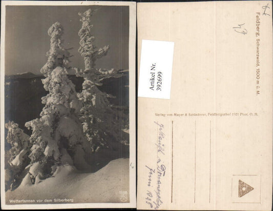 392699,Feldberg im Schwarzwald Wettertannen vor dem Silberberg Winterbild