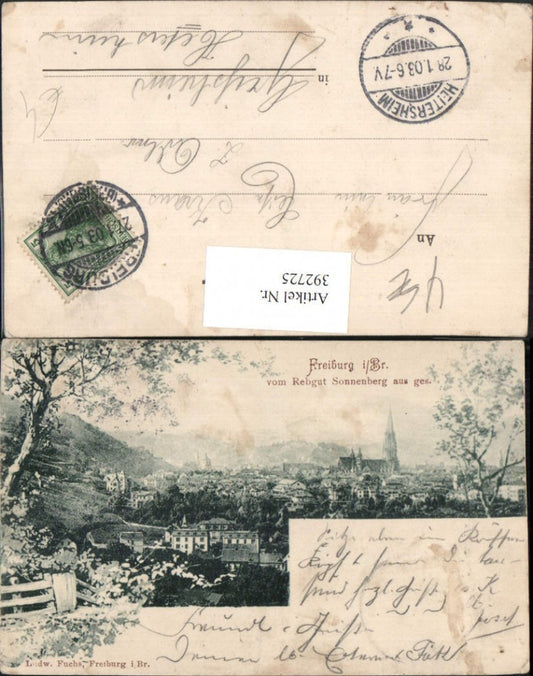 392725, Freiburg im Breisgau, view from the Sonnenberg vineyard