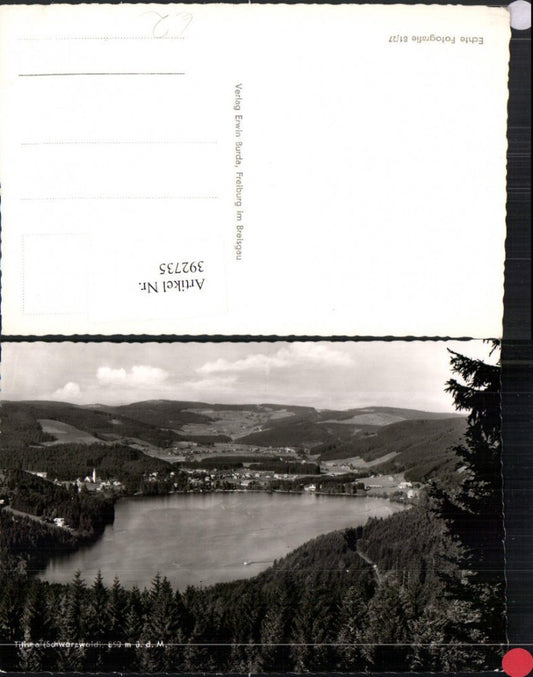392735,Titisee im Schwarzwald Totale See
