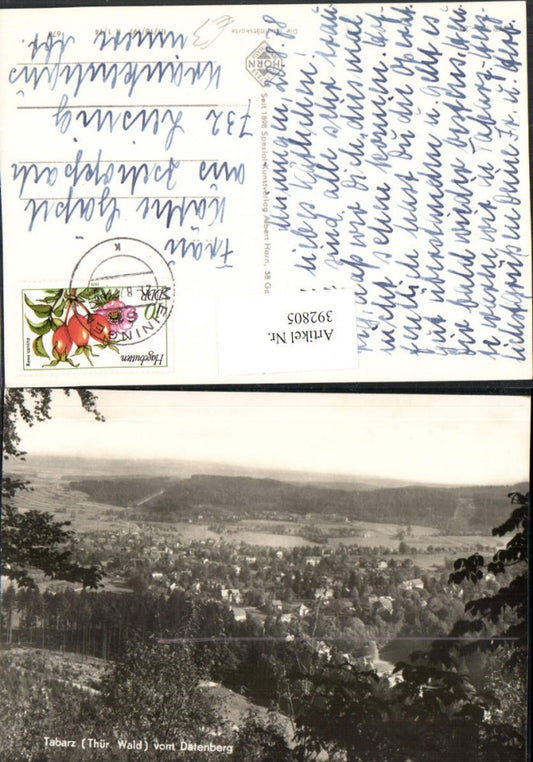 392805,Tabarz Totale vom Datenberg