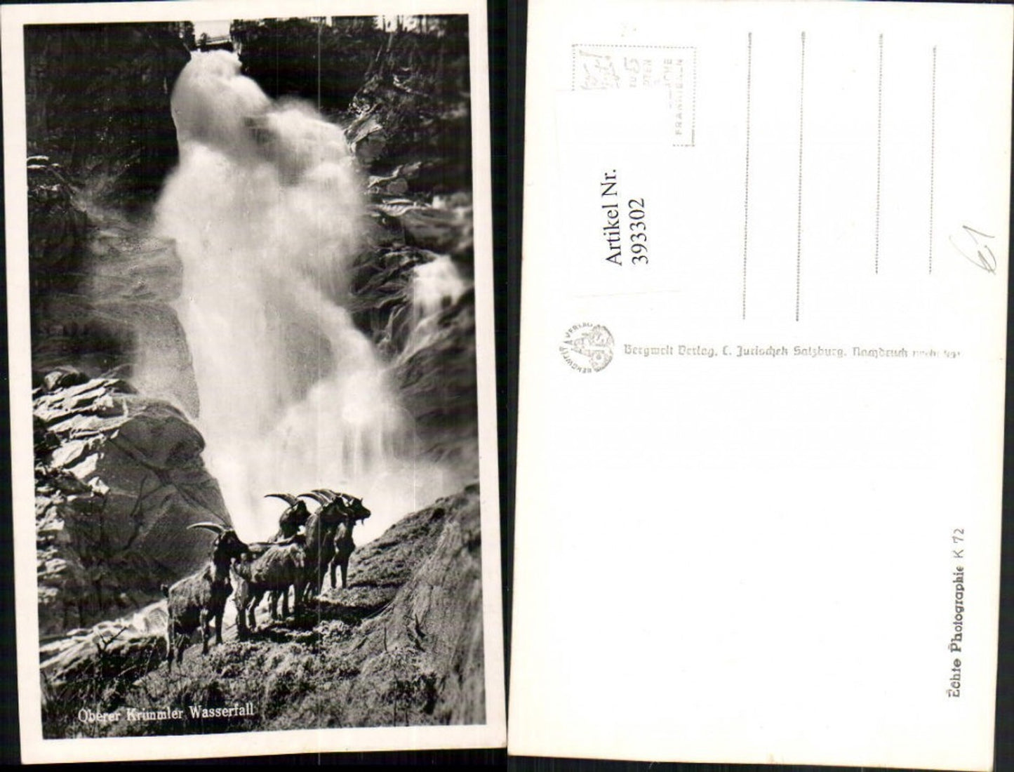 393302,Oberer Krimmler Wasserfall b. Krimml Steinböcke