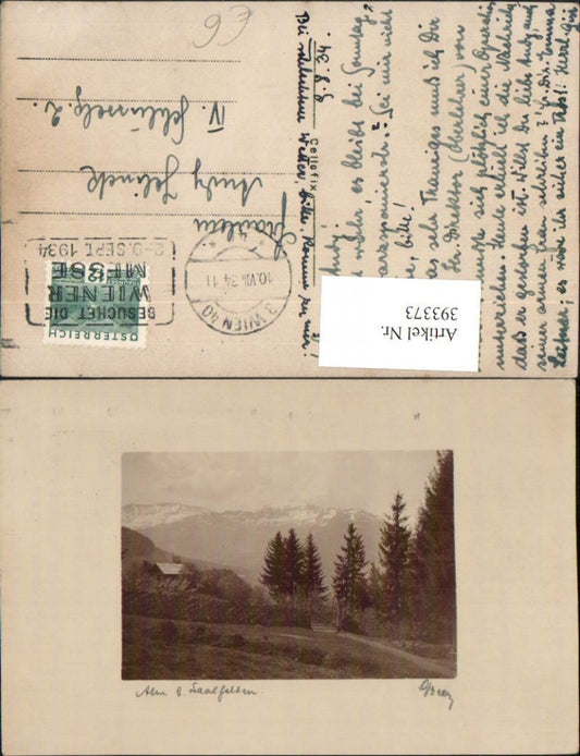 393373,Alm b. Saalfelden Wegpartie Bergkulisse