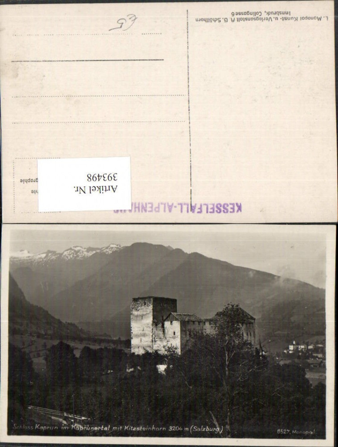 393498,Schloss Kaprun im Kaprunertal m. Kitzsteinhorn Bergkulisse