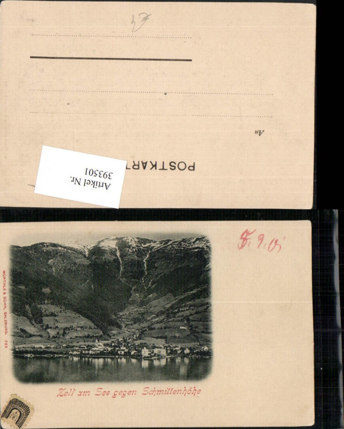 393501,Zell am See Totale geg. Schmittenhöhe Bergkulisse