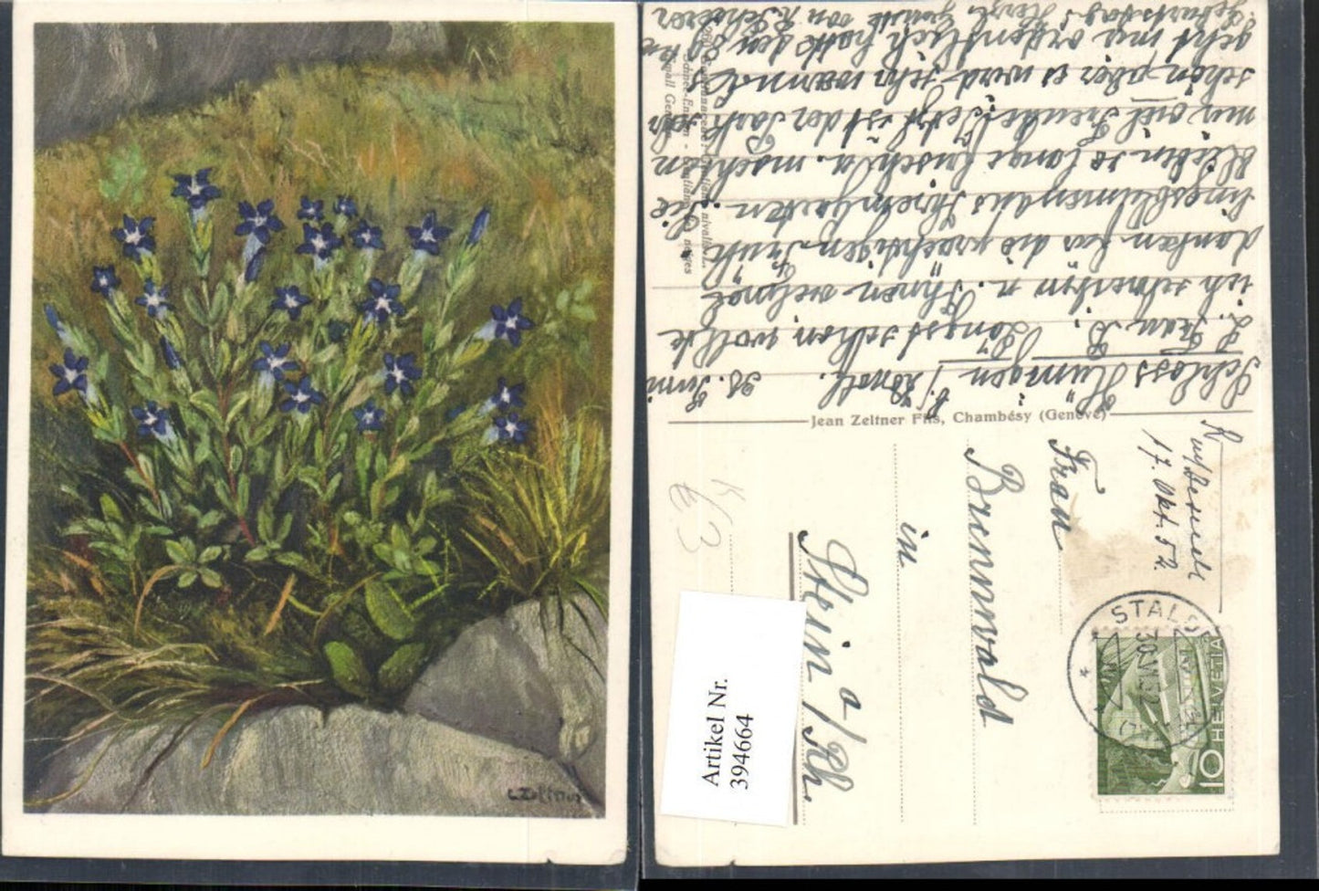 394664,Künstler AK Jean Zeltner Schnee-Enzian Blumen