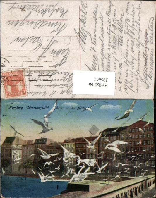 395662,Hamburg Stimmungsbild Möven Möwen an d. Alster