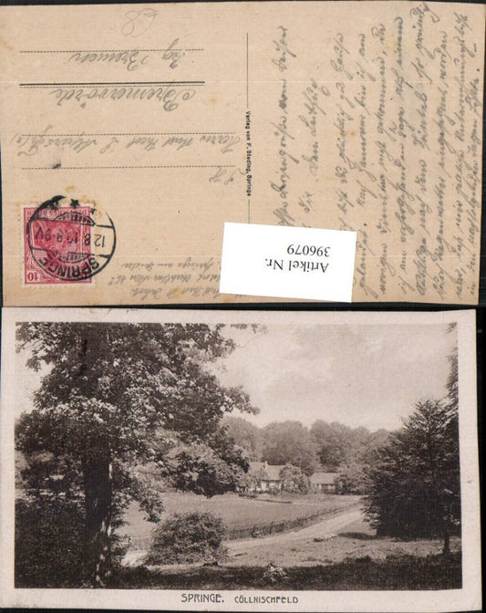 396079,Springe Cöllnischfeld Köllnischfeld Landschaft