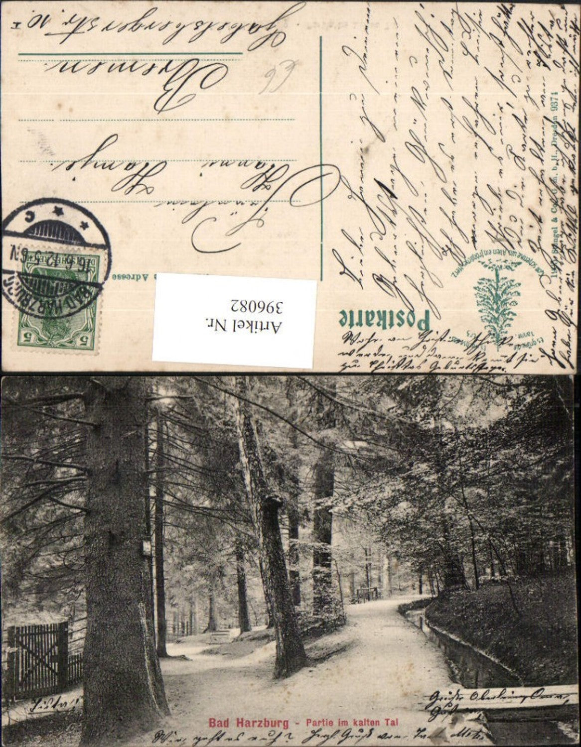 396082,Bad Harzburg Partie im kalten Tal Wald Weg