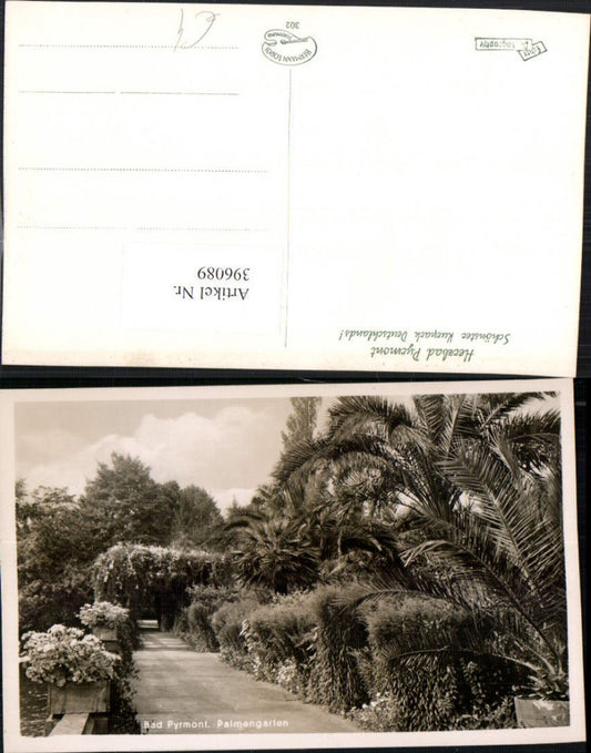396089,Bad Pyrmont Palmengarten Palmen Laube