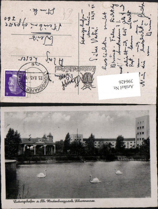 396426,Ludwigshafen am Rhein Hindenburgpark Schwanensee Schwäne