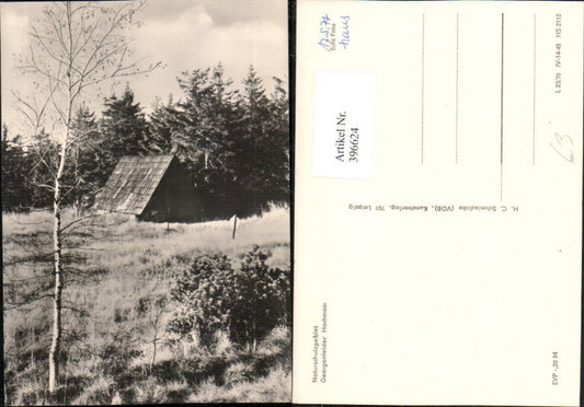 396624,Georgenfelder Hochmoor b. Zinnwald-Georgenfeld