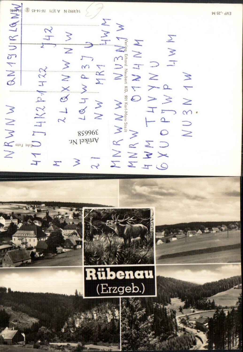 396658,Rübenau im Erzgebirge Totale Hirsch Mehrbildkarte
