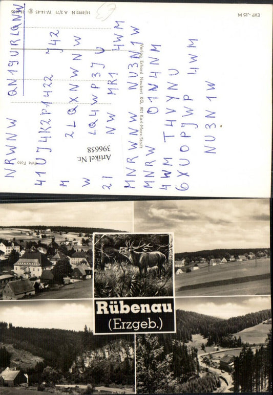 396658,Rübenau im Erzgebirge Totale Hirsch Mehrbildkarte