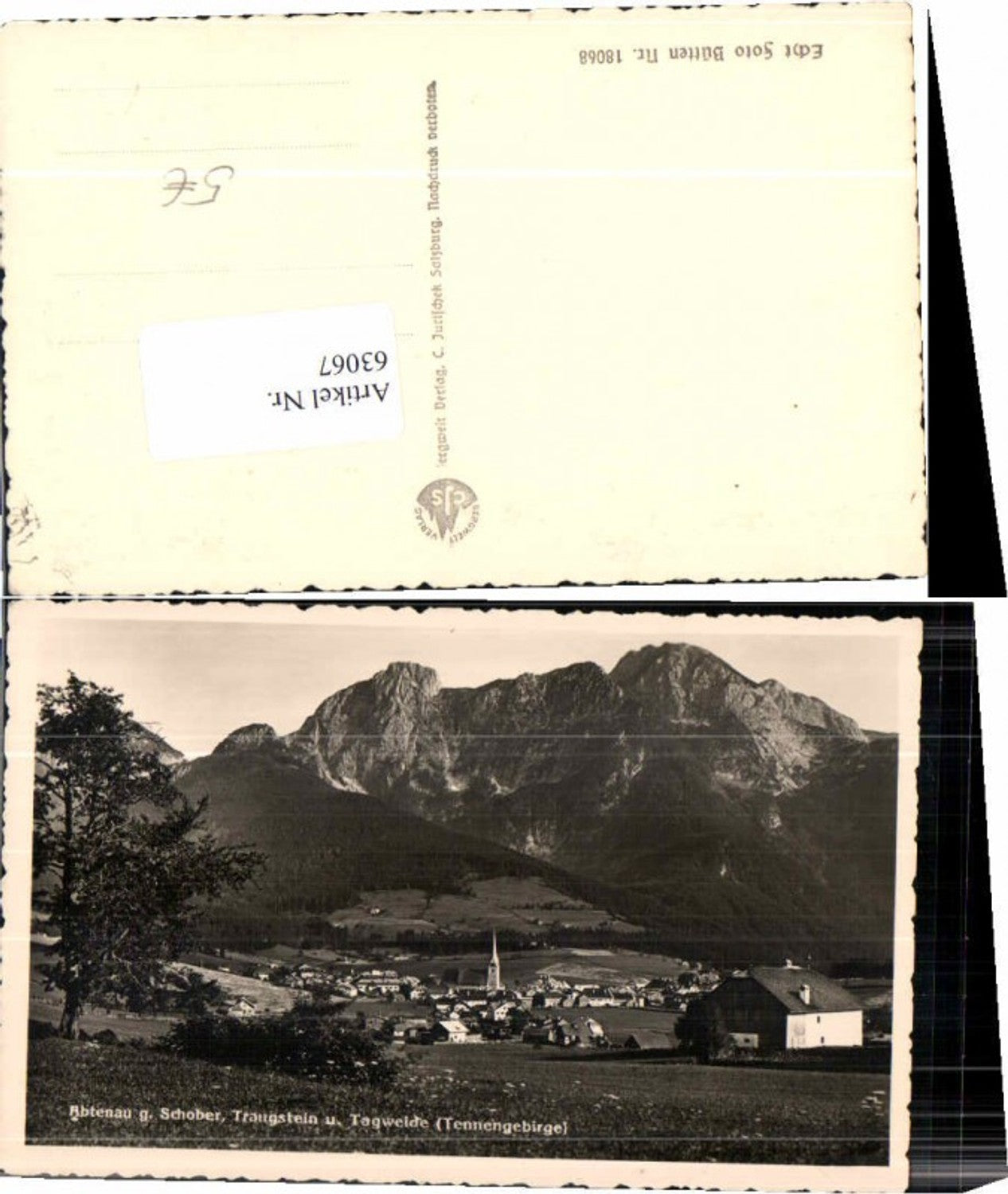 63067,Abtenau g. Schober Wiesenpartie