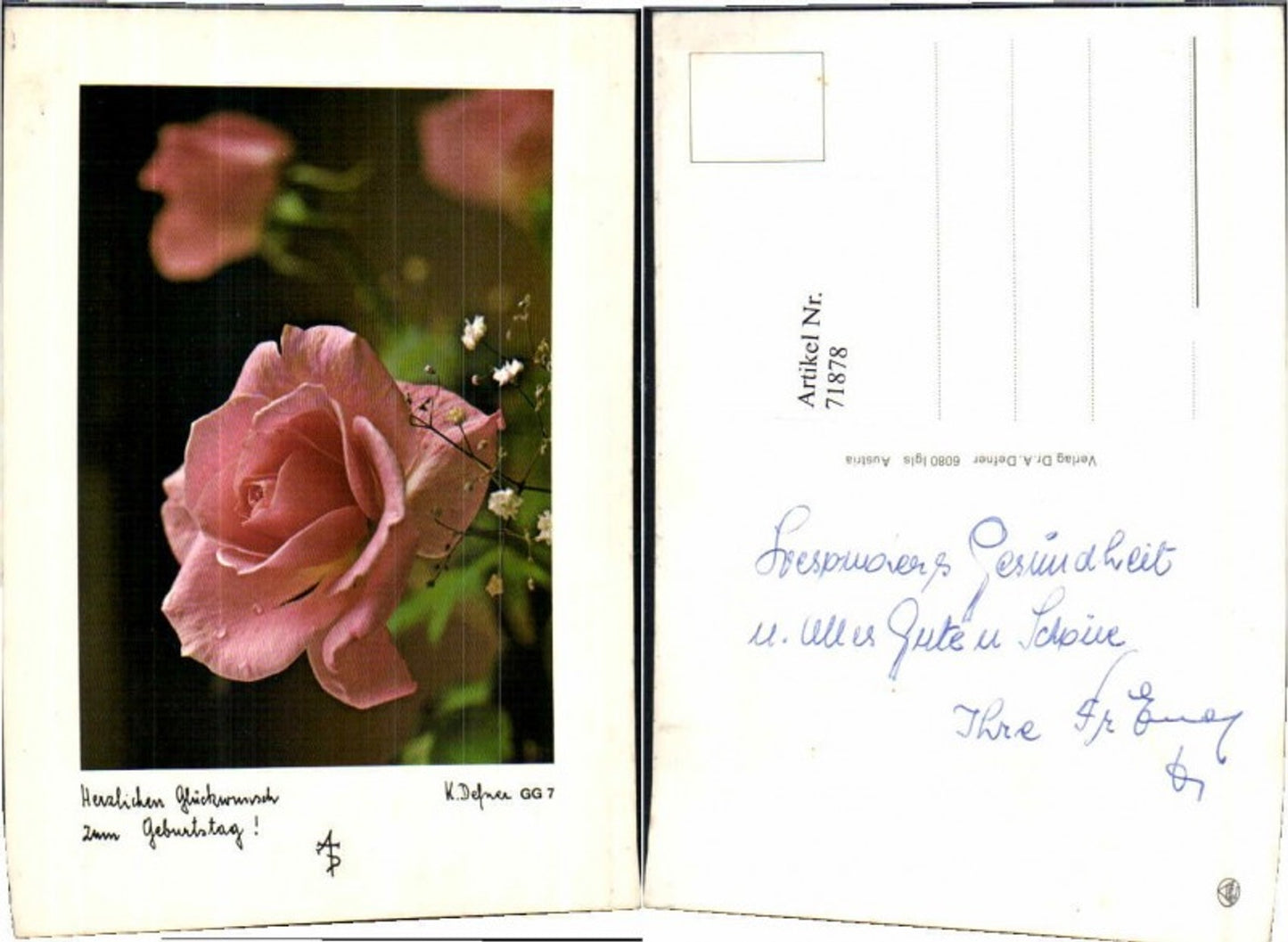 71878,Dr. Defner GG7 Geburtstag Rose