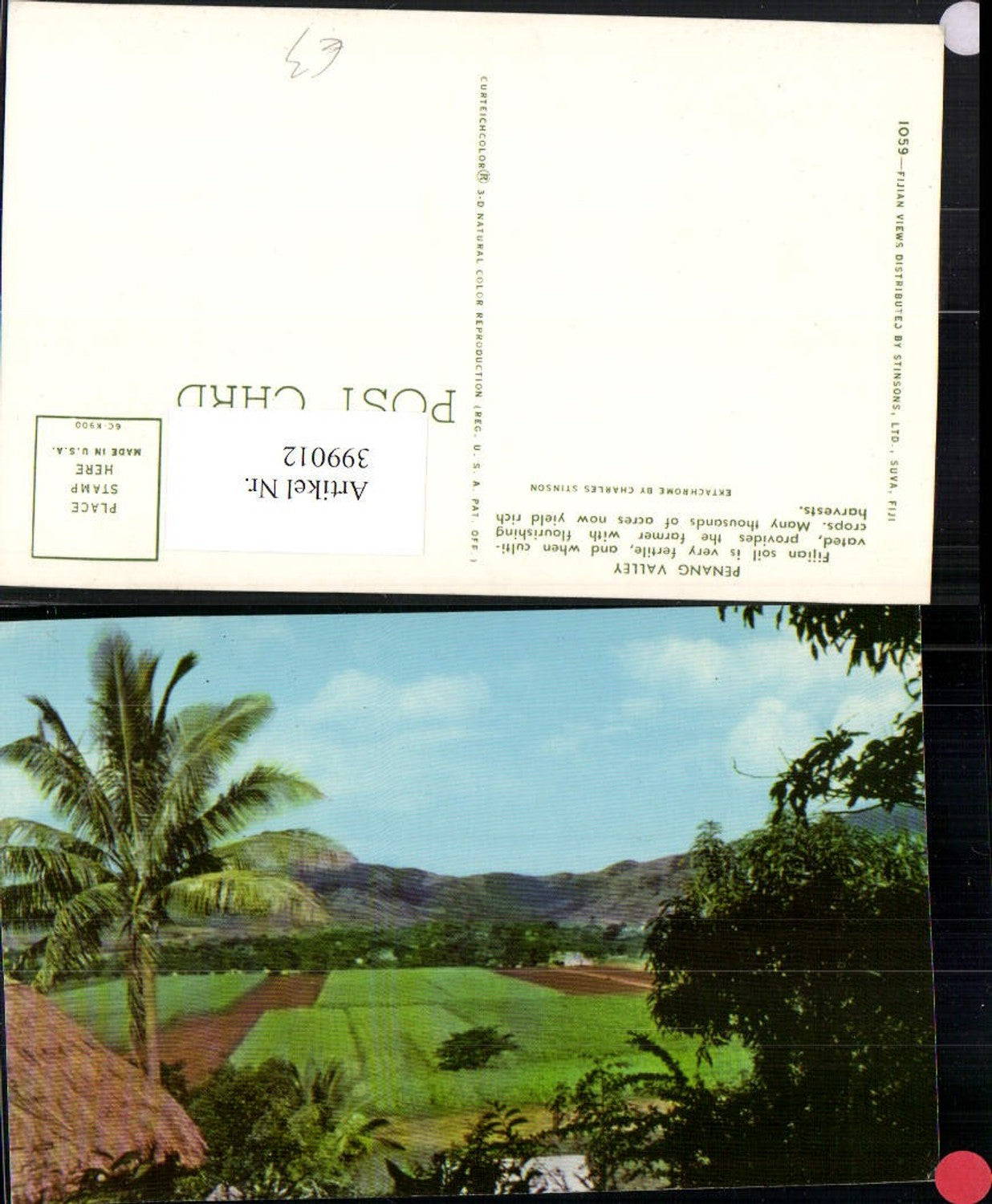 399012,Fidschi Fiji Penang Valley Landschaft Palme