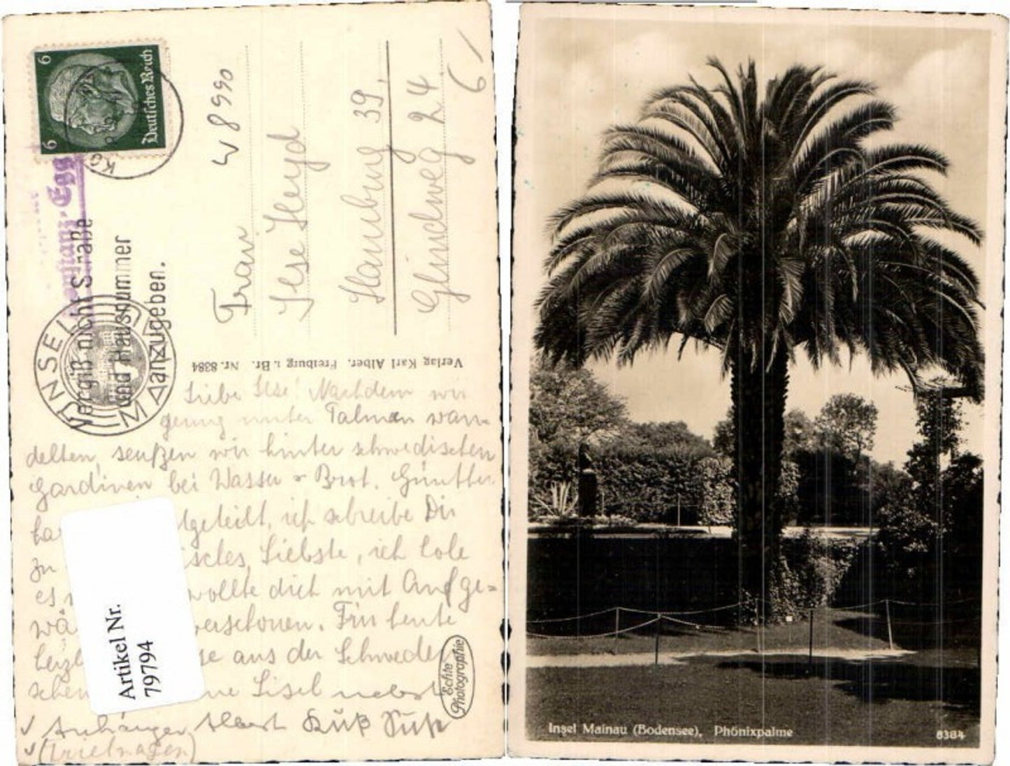79794,Insel Mainau am Bodensee Palme Phönixpalme