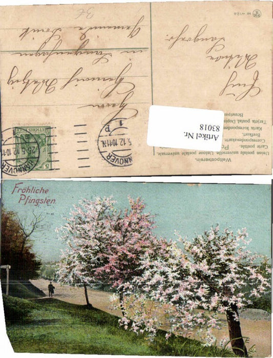 83018,Pfingsten Böume Weg Mann Frühling