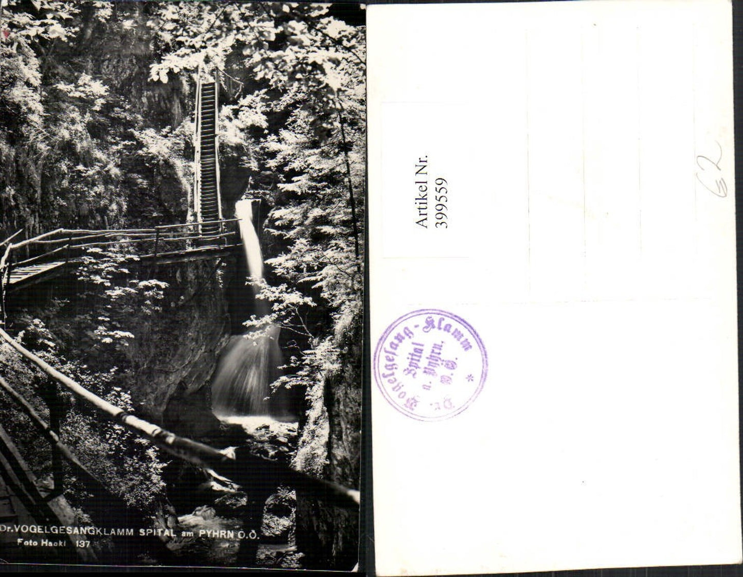 399559,Vogelgesangklamm Klamm b. Spital am Pyhrn Wasserfall pub Foto Hackl 137