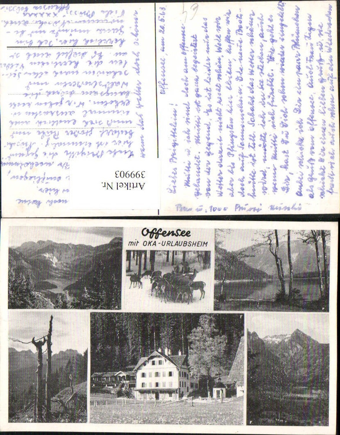 399903,Offensee See b. Ebensee Wild Rehe Bergkulisse Mehrbildkarte