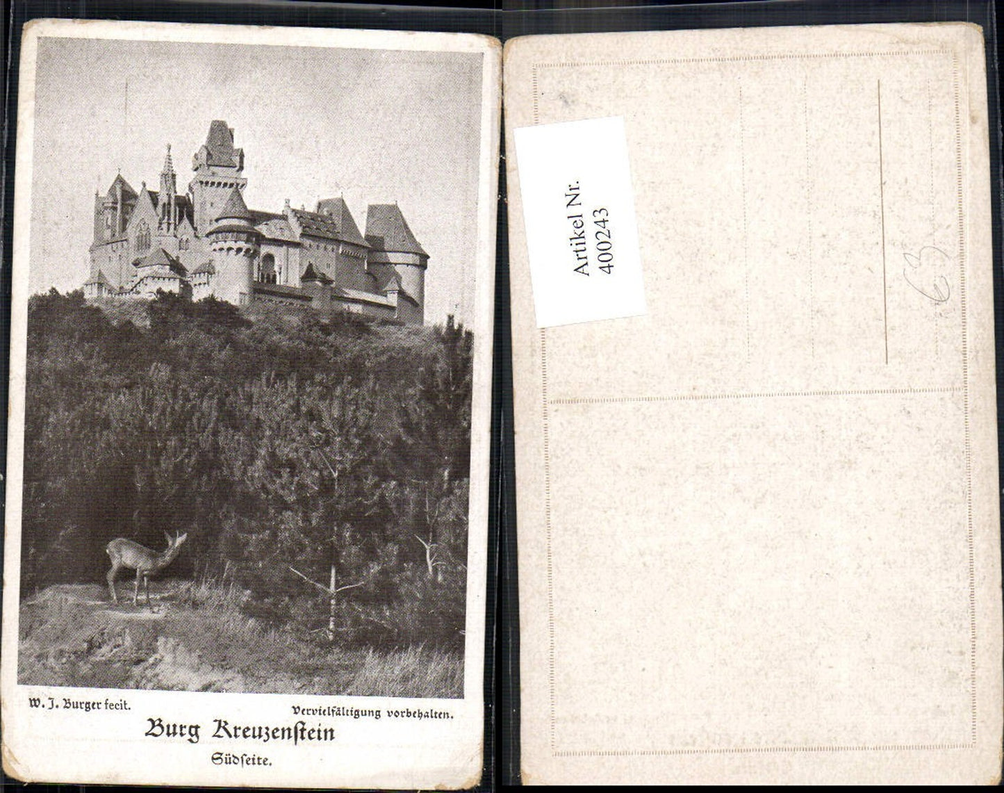 400243,Burg Kreuzenstein Südseite Reh Wild