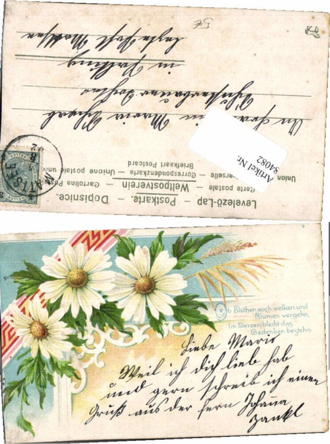 84082,Litho Blumen Gänseblümchen 1902 Mattsee