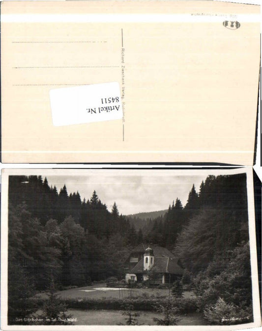 84511, Glöckchen im Thüringer Wald Gehlberg
