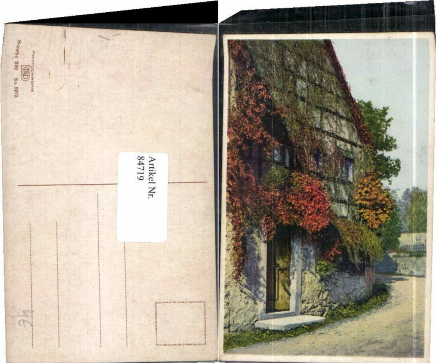 84719,Photochromie Ser. 390-5273 Haus m. Sträucher Gewächse