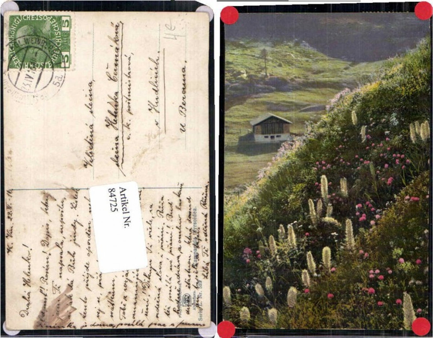 84725,Photochromie Ser. Alpenflora L 523 Blumen