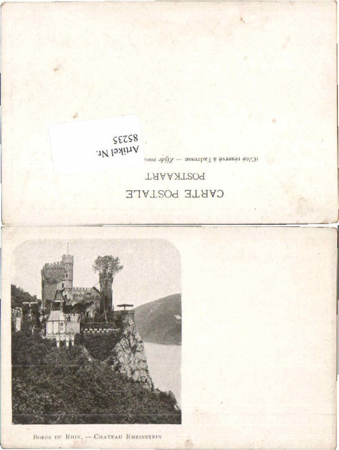 85235,Chateau Rheinstein Bords du Rhin