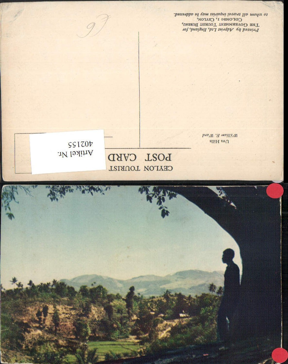 402155,Ceylon Uva Hills Bergkulisse