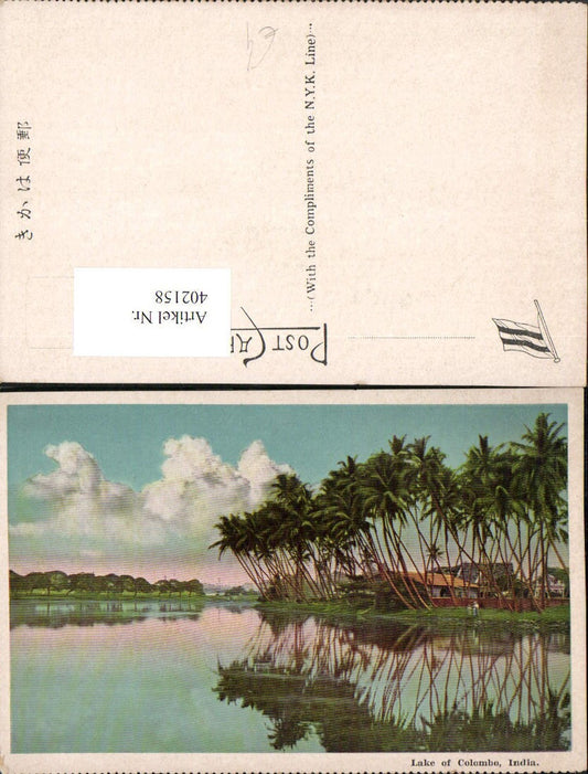 402158,India Lake of Colombo See Palmen