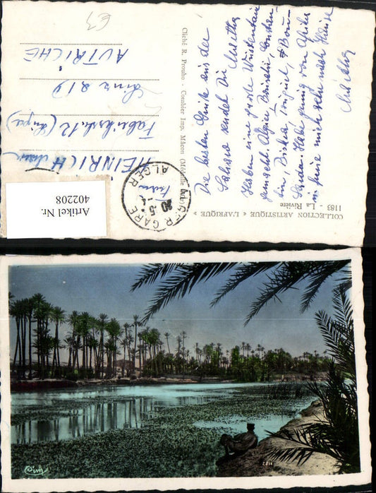 402208,Algeria Alger Algier La Riviere Oase Palmen