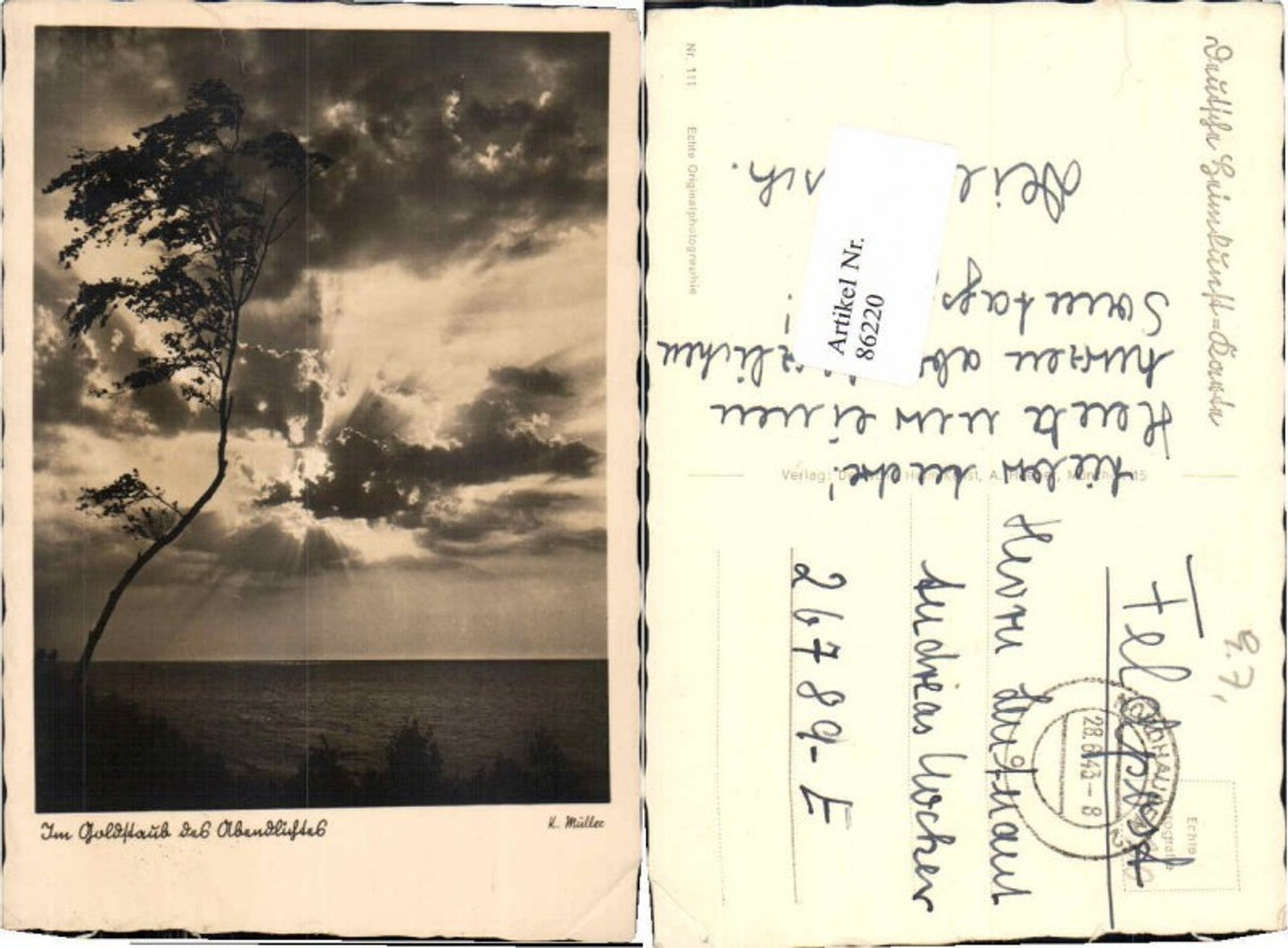 86220,K. Müller Foto Verlag Abend Baum Feldpost