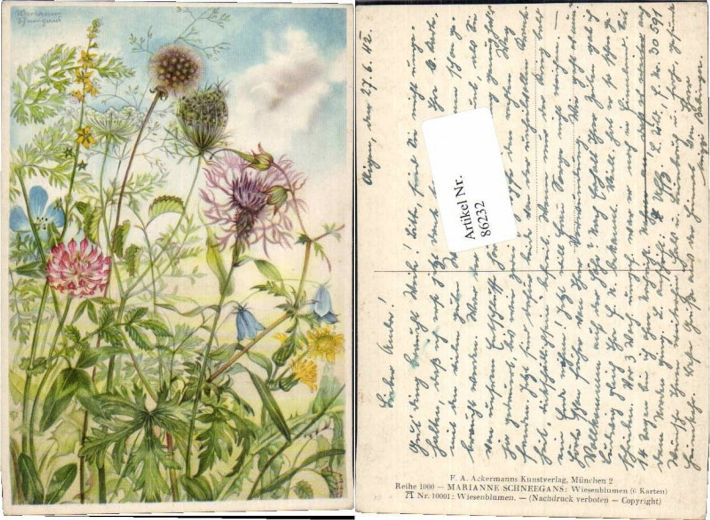 86232, Marianne Schneegans Wiesenblumen Ackermann 10001