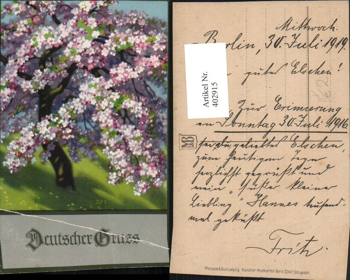 402915,Meissner & Buch 2347 Künstlerkarte Baumblüte Baum