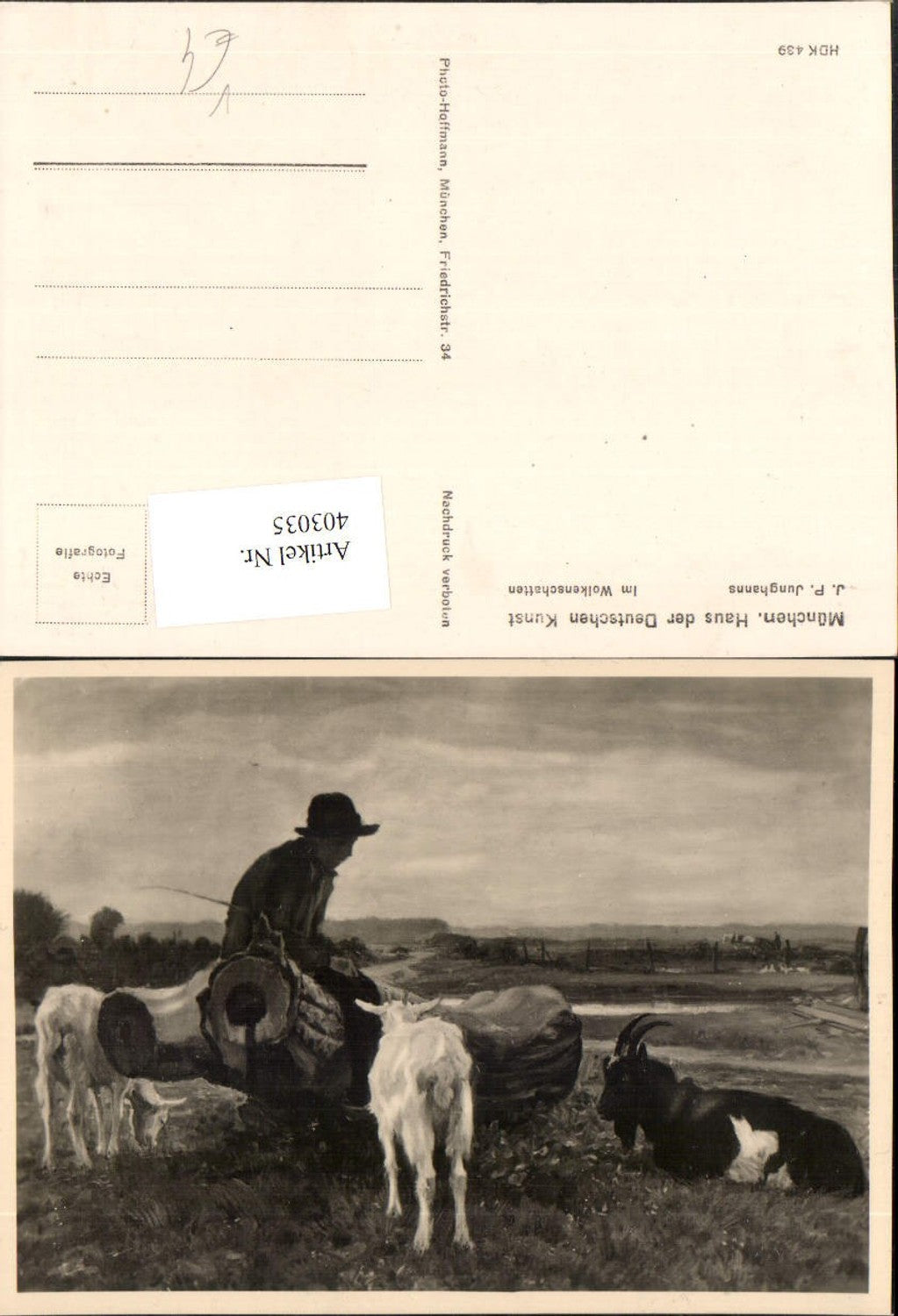 403035,Haus d. Deutschen Kunst HDK 439 Künstler J. P. Junghanns Wolkenschatten Hirte Ziegen