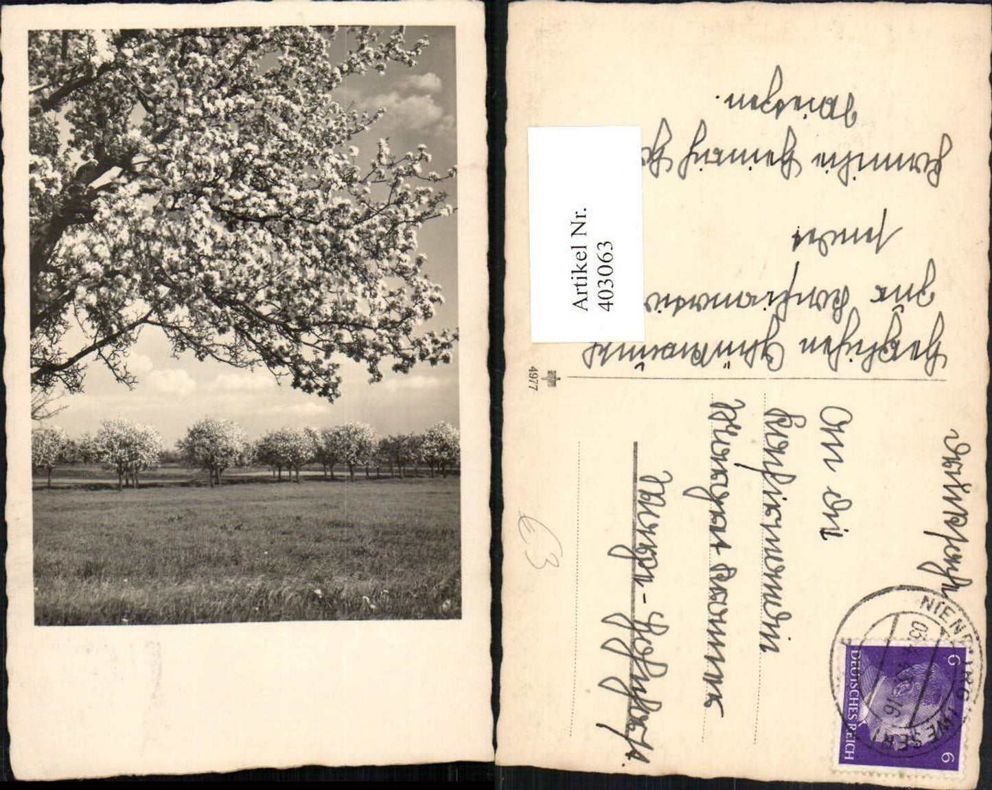 403063,Fotokunst Landschaft Baumblüte Bäume