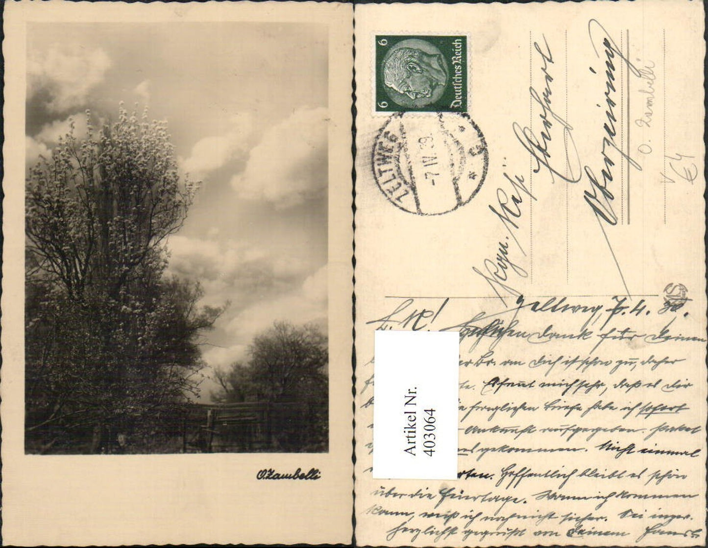 403064,Fotokunst O. Zambelli Baumblüte Bäume