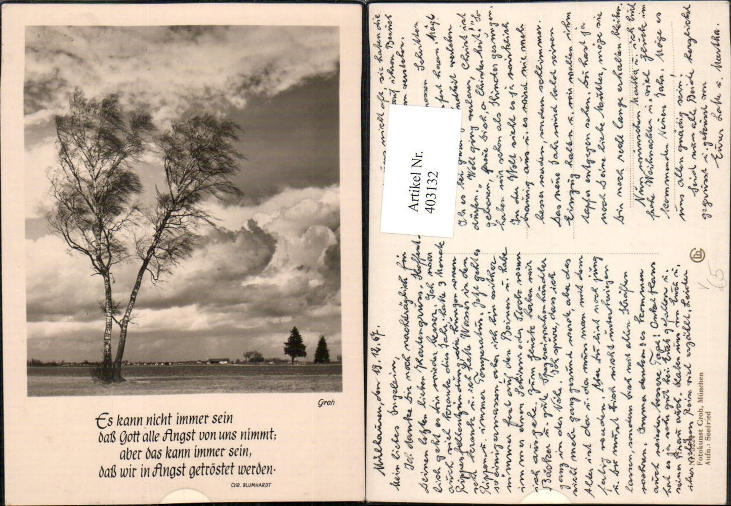 403132,Fotokunst Groh 5224Landschaft Birken Bäume Spruch Text