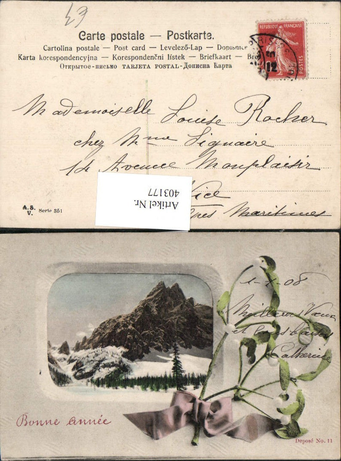 403177,Fotomontage Winterlandschaft Bergkulisse Passepartout Mistelzweig