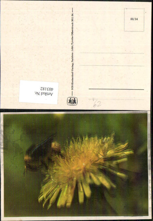 403182,SOS Kinderdorf 55/14 Löwenzahn Blume Biene