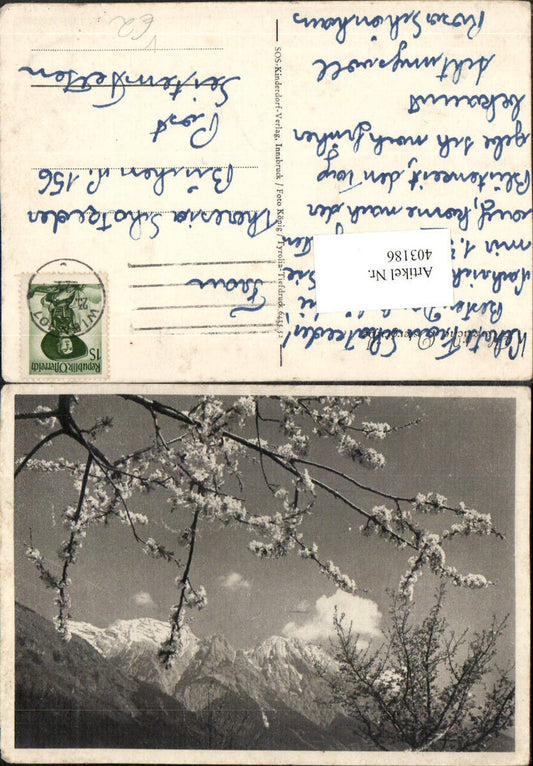 403186,SOS Kinderdorf Ostern Baumblüte Bergkulisse