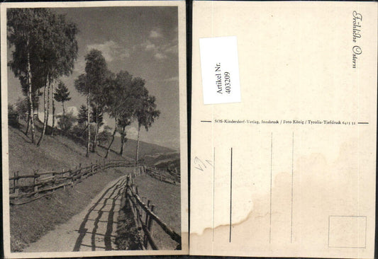403209, SOS Children's Village Easter Landscape Path Birches