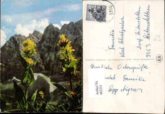 403231, SOS Children's Village Flowers Mountain Scenery