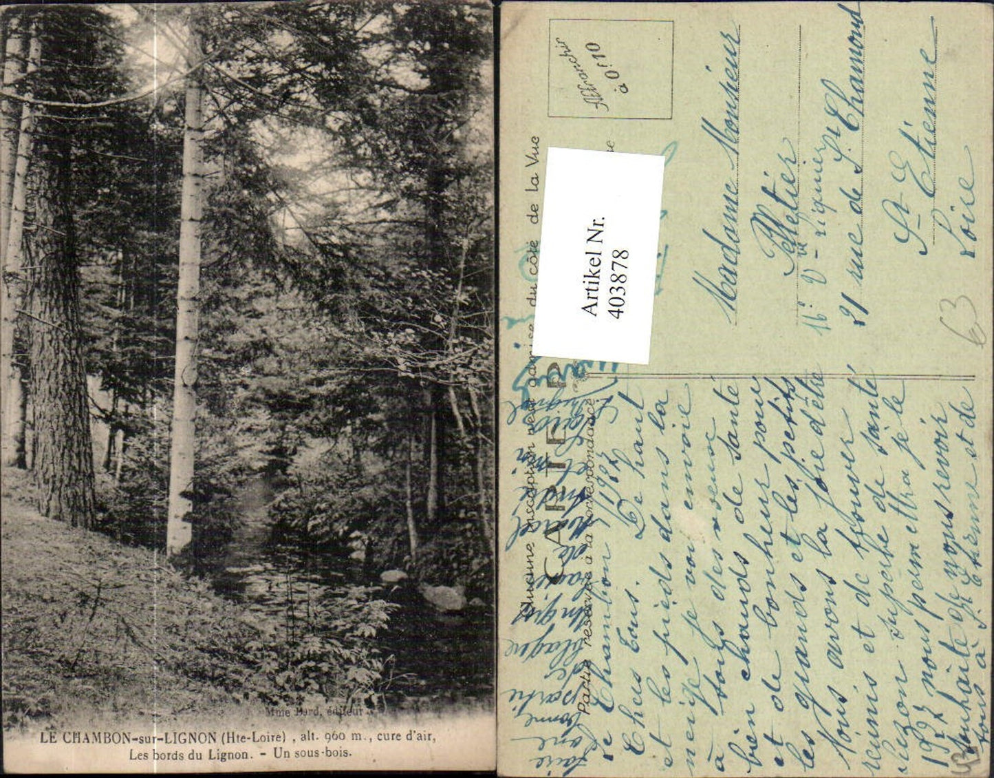 403878,Auvergne Haute-Loire Le Chambon-sur-Lignon Les bords du Lignon Wald Bach