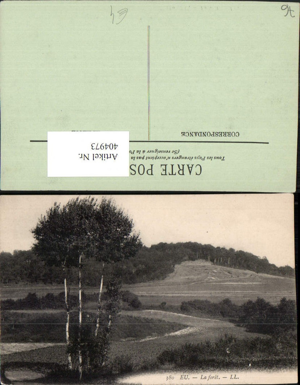 404973,Haute-Normandie Seine-Maritime Eu La foret Landschaft Wald