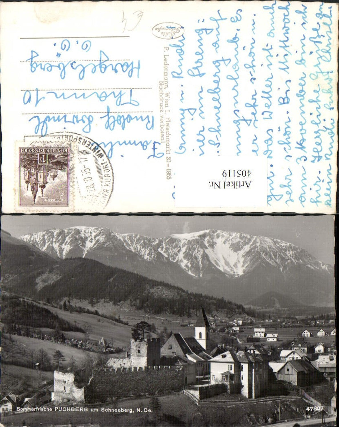 405119,Puchberg am Schneeberg Teilansicht Bergkulisse