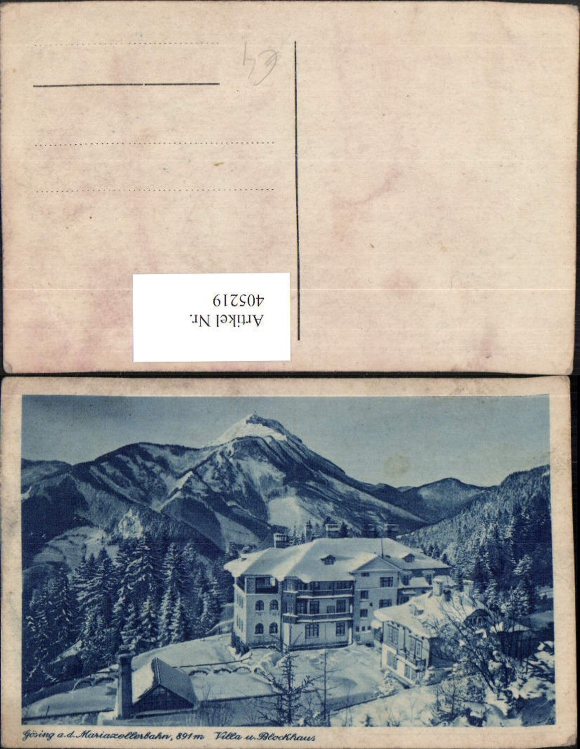 405219,Gösing an d. Mariazellerbahn Villa u. Blockhaus Bergkulisse Winterbild